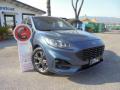 usato FORD Kuga