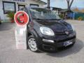 usato FIAT Panda
