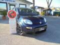 usato FIAT Panda