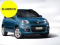 usato FIAT Panda