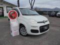 usato FIAT Panda