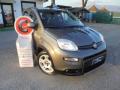 usato FIAT Panda
