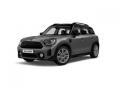 usato MINI Countryman