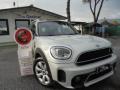 usato MINI Countryman