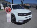 usato FIAT Grande Panda
