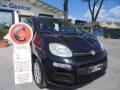 usato FIAT Panda