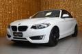 usato BMW 218