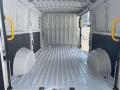 usato FIAT Ducato
