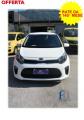 usato KIA Picanto