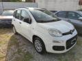 usato FIAT Panda