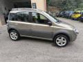 usato FIAT Panda