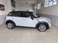 usato MINI Countryman