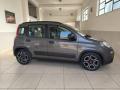 usato FIAT Panda
