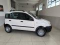 usato FIAT Panda