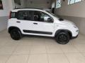 usato FIAT Panda