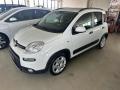 usato FIAT Panda