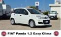 usato FIAT Panda
