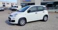 usato FIAT Panda