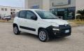 usato FIAT Panda