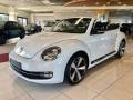 usato VOLKSWAGEN Maggiolino