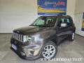 usato JEEP Renegade