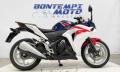 usato HONDA CBR 250 R