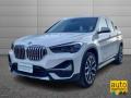 usato BMW X1