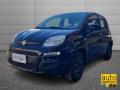 usato FIAT Panda