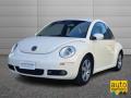 usato VOLKSWAGEN New Beetle