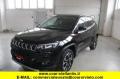 usato JEEP Compass