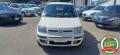usato FIAT Panda