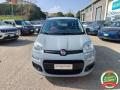 usato FIAT Panda
