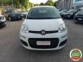 usato FIAT Panda