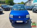 usato FIAT Panda