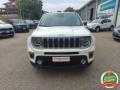 usato JEEP Renegade