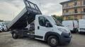 usato FIAT Ducato