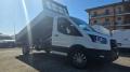 usato FORD Transit