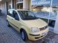 usato FIAT Panda