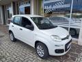 usato FIAT Panda