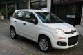 usato FIAT Panda