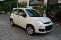 usato FIAT Panda