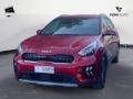 usato KIA Niro