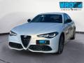 usato ALFA ROMEO Giulia