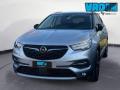 usato OPEL Grandland X