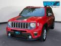 usato JEEP Renegade