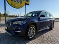 usato BMW X1
