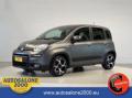 usato FIAT Panda