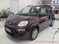 usato FIAT Panda