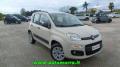 usato FIAT Panda