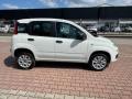 usato FIAT New Panda